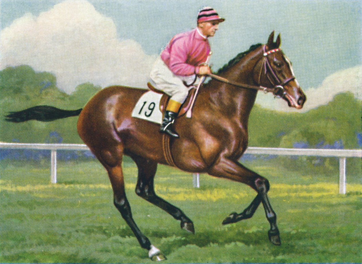 Pasch, Jockey: G. Richards, 1939 alkotó: Unbekannt