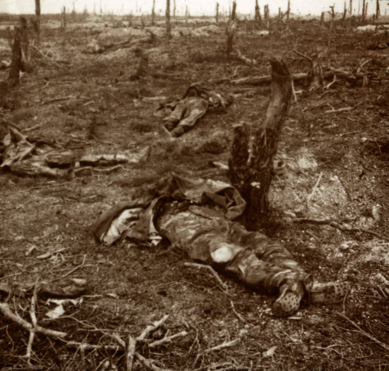 Út a testek között, c1914-c1918 alkotó: Unbekannt