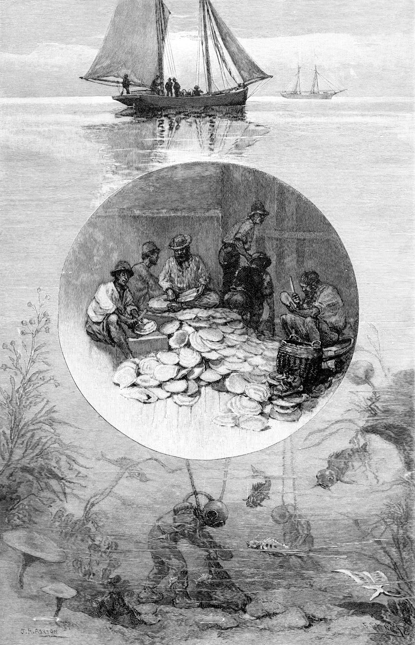 Pearl Fishery, Torres-szoros, Ausztrália, 1886 alkotó: Unbekannt