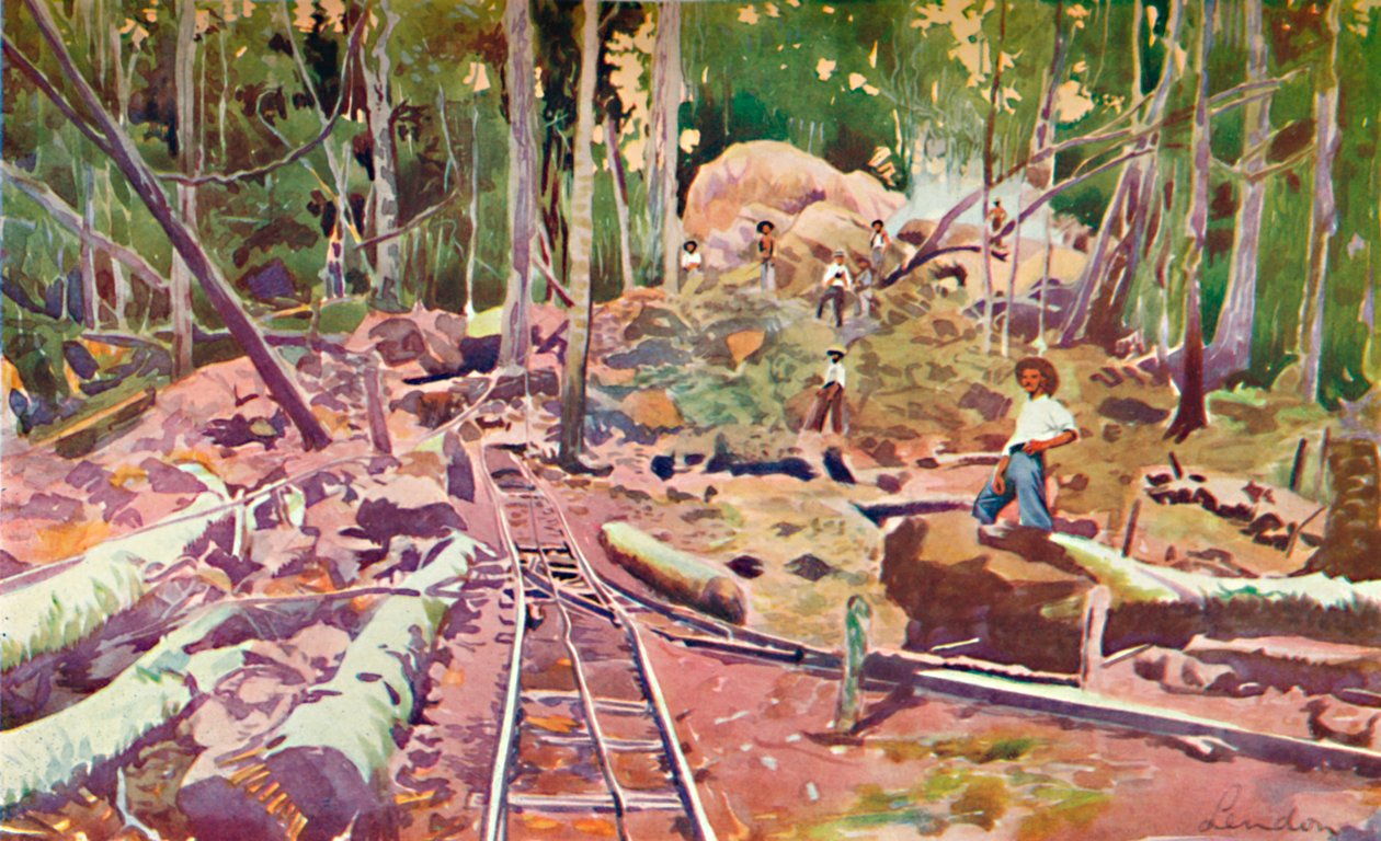 Behatolás az Amazonas-erdőbe – Madeira-Mamoré vasút, 1914 alkotó: Unbekannt