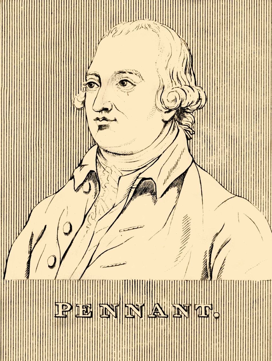 Zászló, 1726-1798, 1830. alkotó: Unbekannt