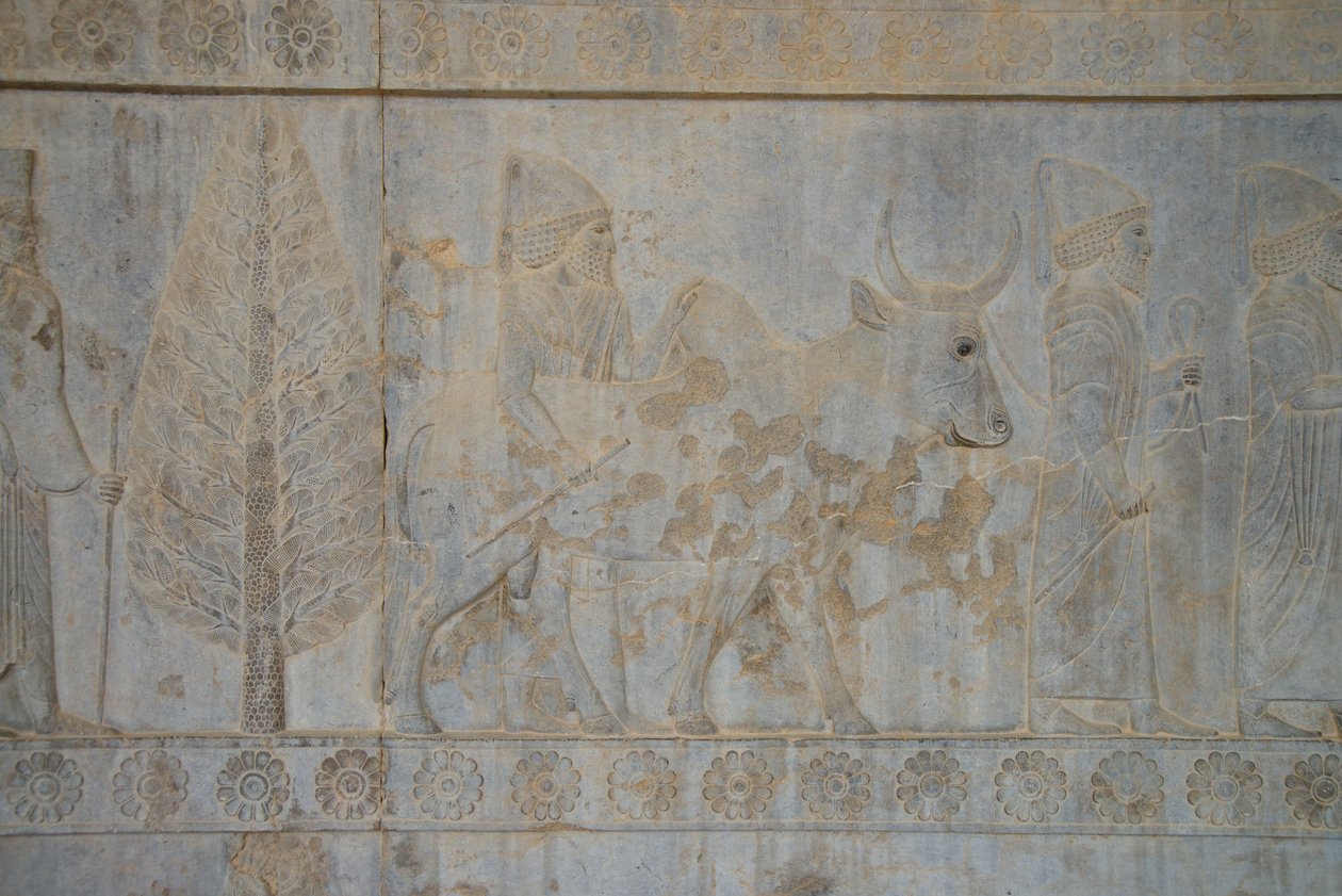 Perszepolisz, Irán (fotó) alkotó: Unbekannt