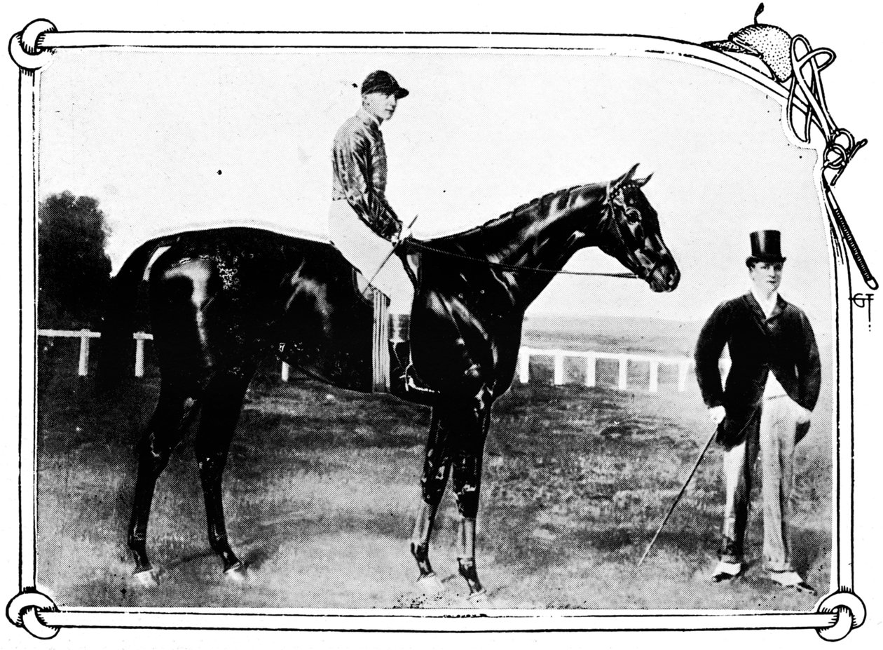Datolyaszilva, 1911 alkotó: Unbekannt