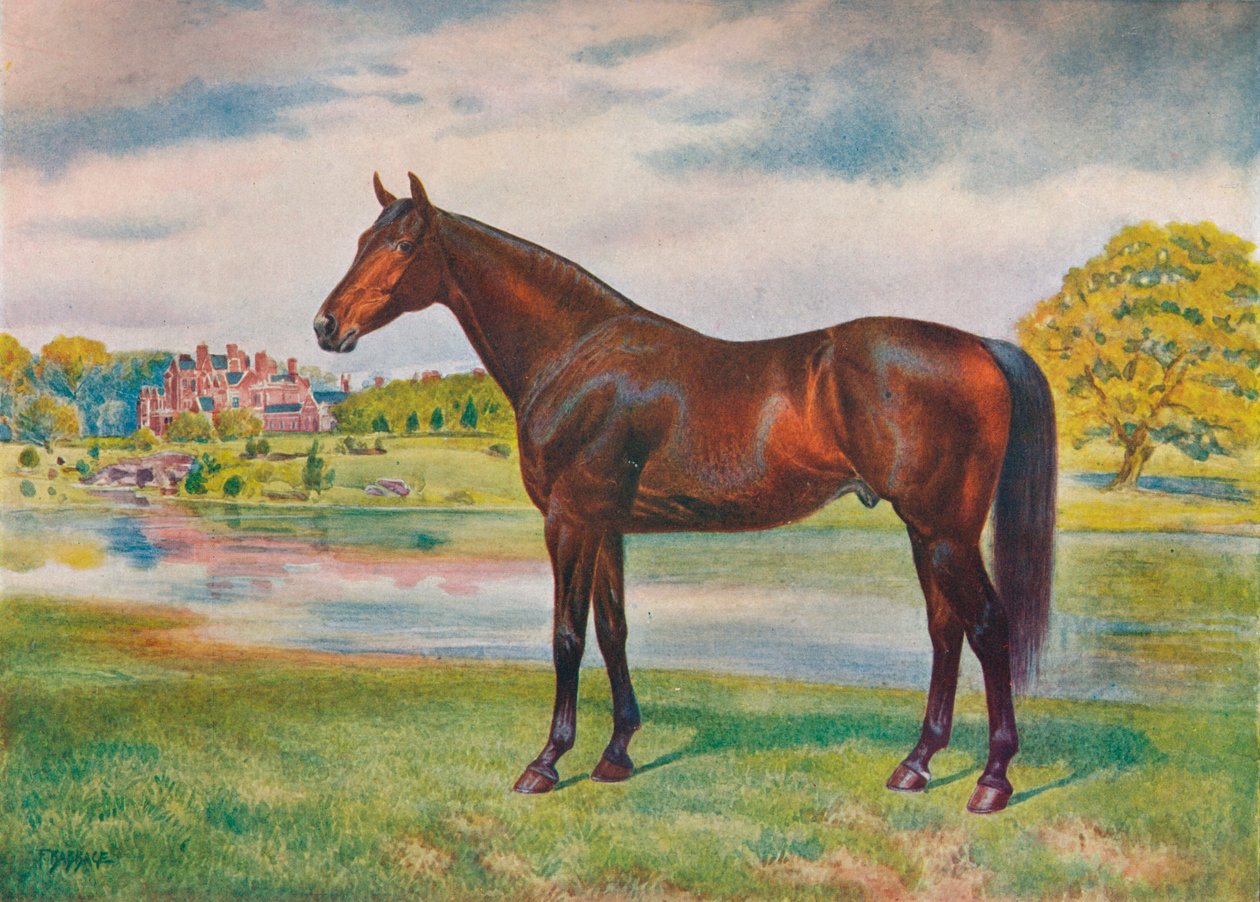 Datolyaszilva, c1905 c1910 alkotó: Unbekannt