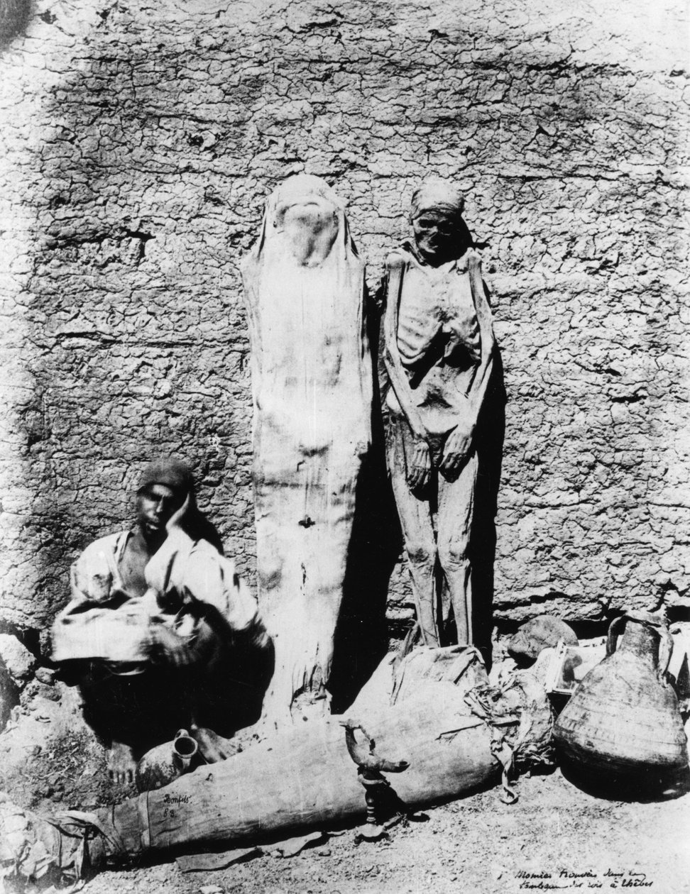 Fénykép múmiákról, 1860 alkotó: Unbekannt