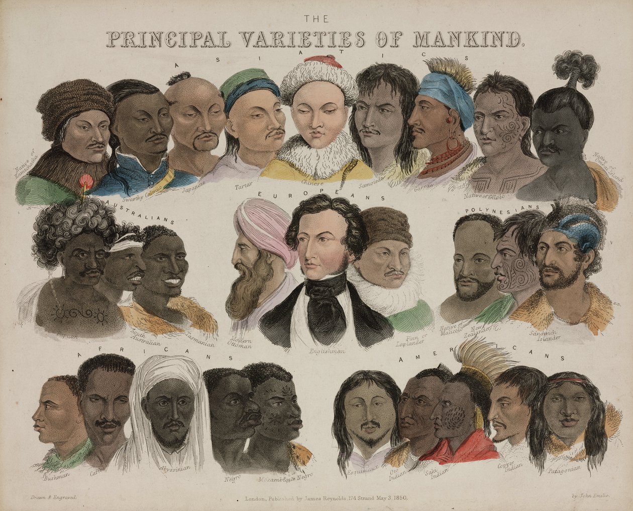 Fiziognómia „Az emberiség fő változatai”, 1850. május 3 alkotó: Unbekannt