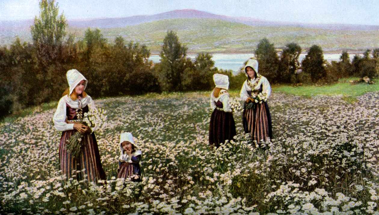 Virágszedés egy réten Leksand közelében, Svédországban, 1923 alkotó: Unbekannt
