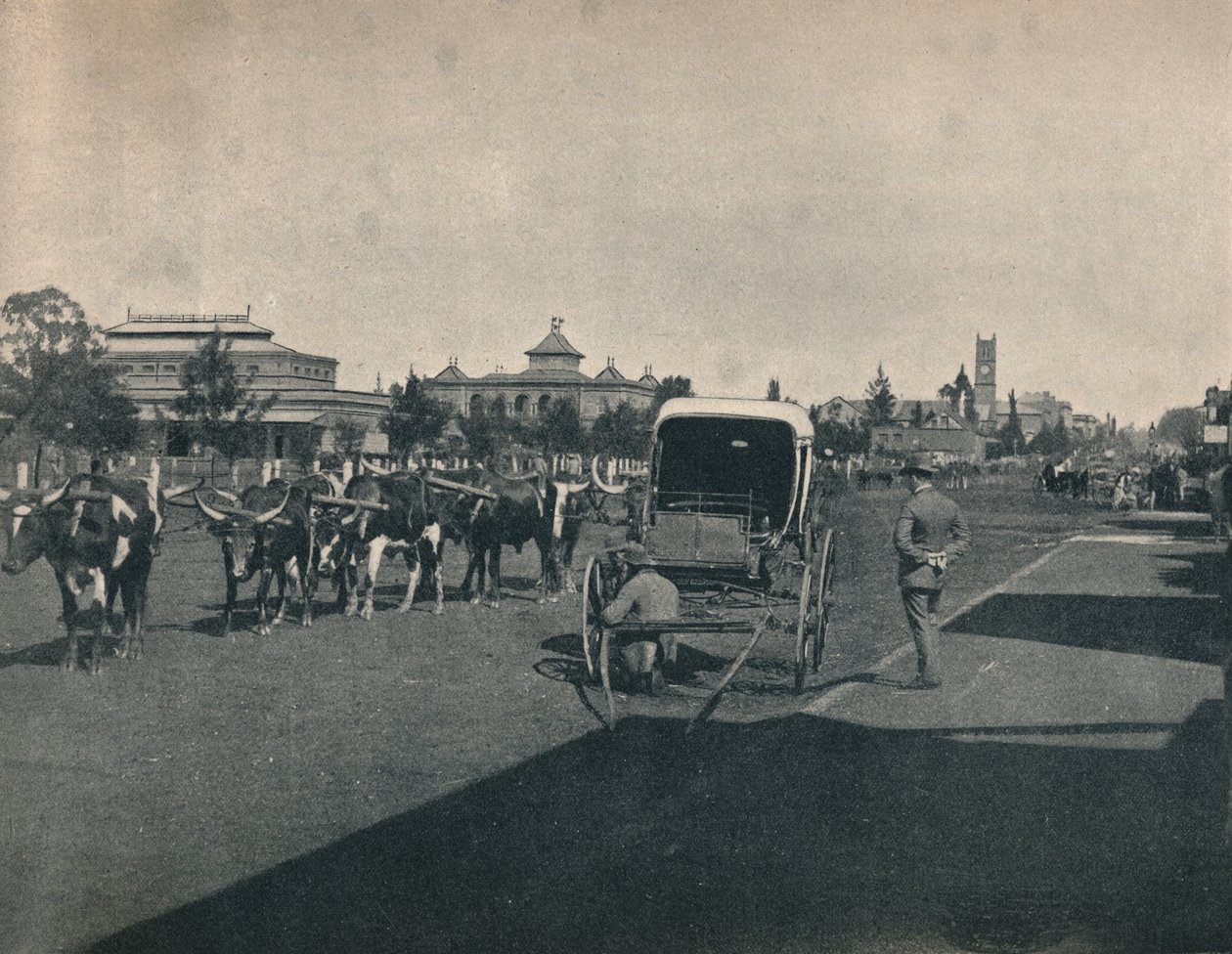 Pietermaritzburg, 1900. alkotó: Unbekannt