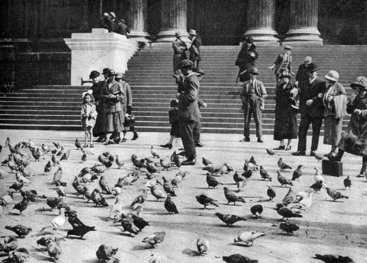 Galambok a Trafalgar Square-en, London, 1926-1927 alkotó: Unbekannt