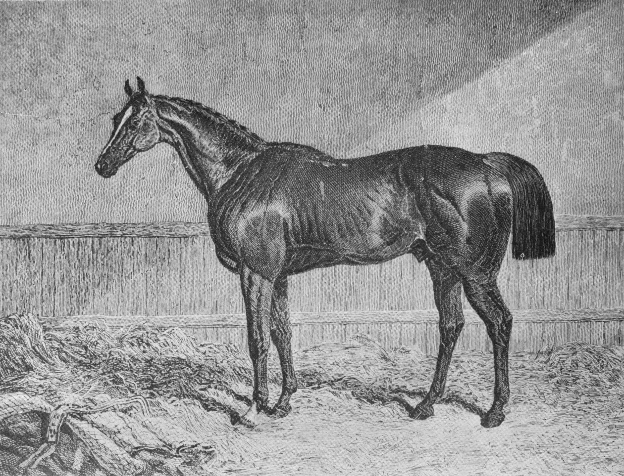 meghatalmazott, 1831-1854, 1911 alkotó: Unbekannt