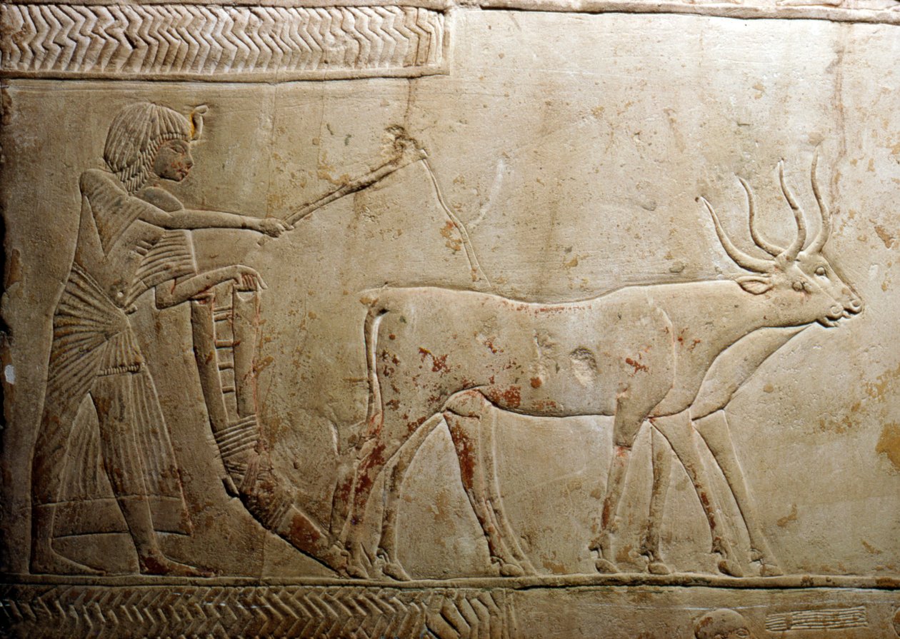 Szántás egy egyiptomi sztéléből, 18. dinasztia, Kr.e. 1332-1323 alkotó: Unbekannt