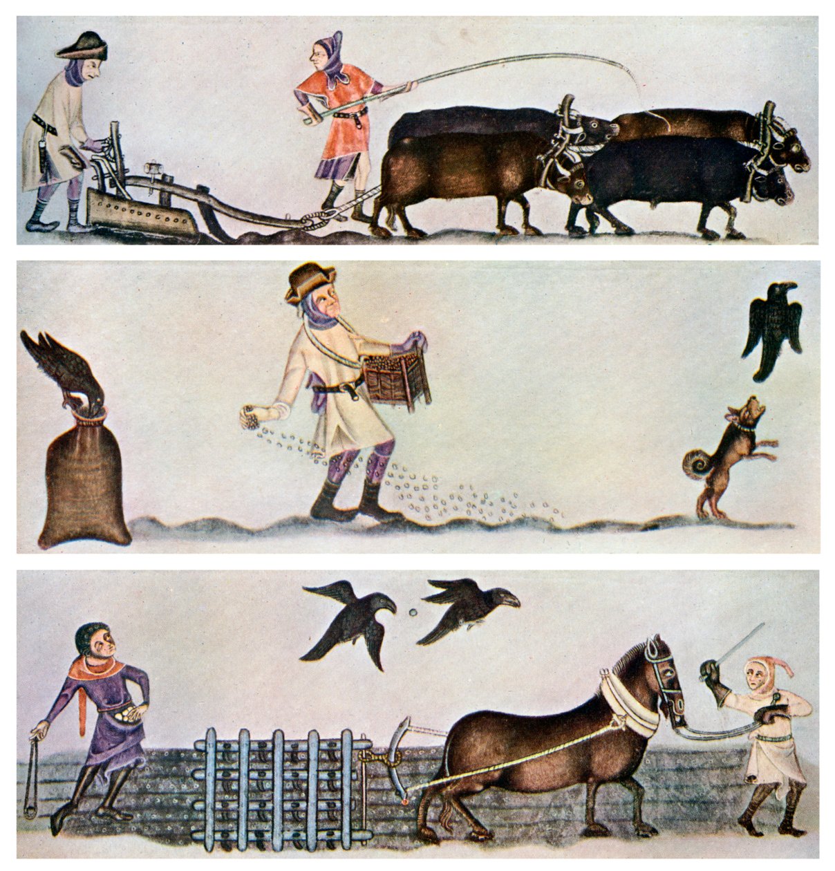 Szántás, vetés és boronázás, c1300-1340, c1900-1920 alkotó: Unbekannt