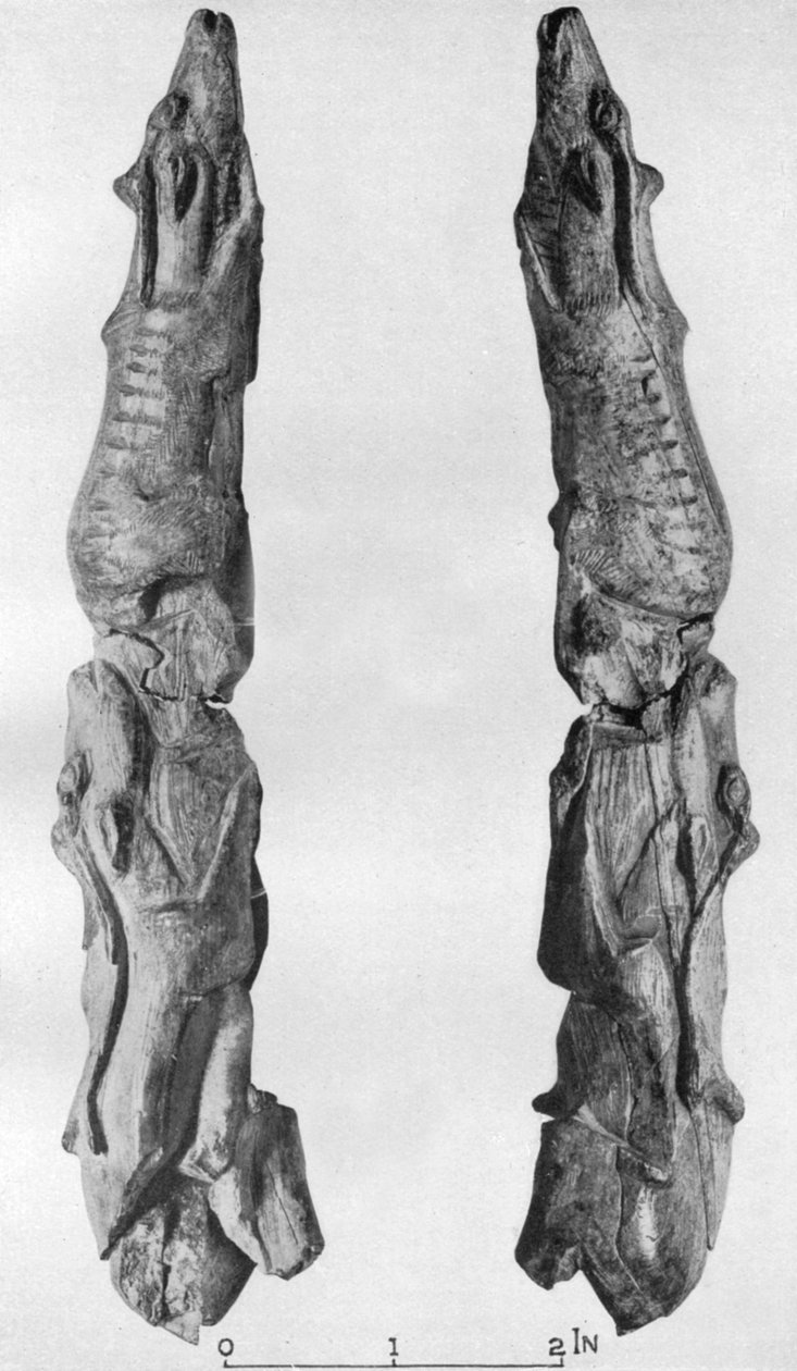 Rénszarvassal faragott mamut agyar hegye Montastrucból, Bruniquel, Franciaország, 1926 alkotó: Unbekannt