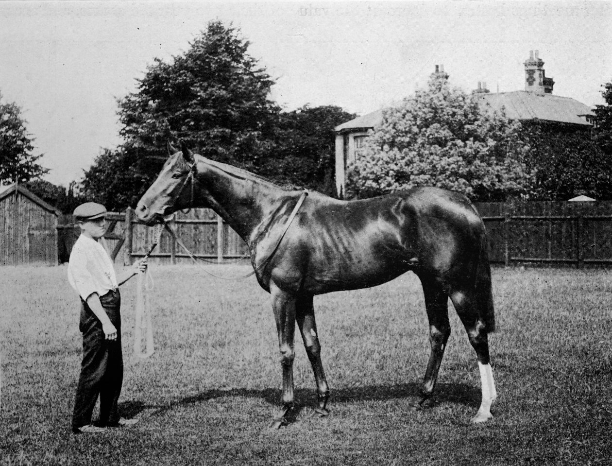 Sarkcsillag, 1911 alkotó: Unbekannt