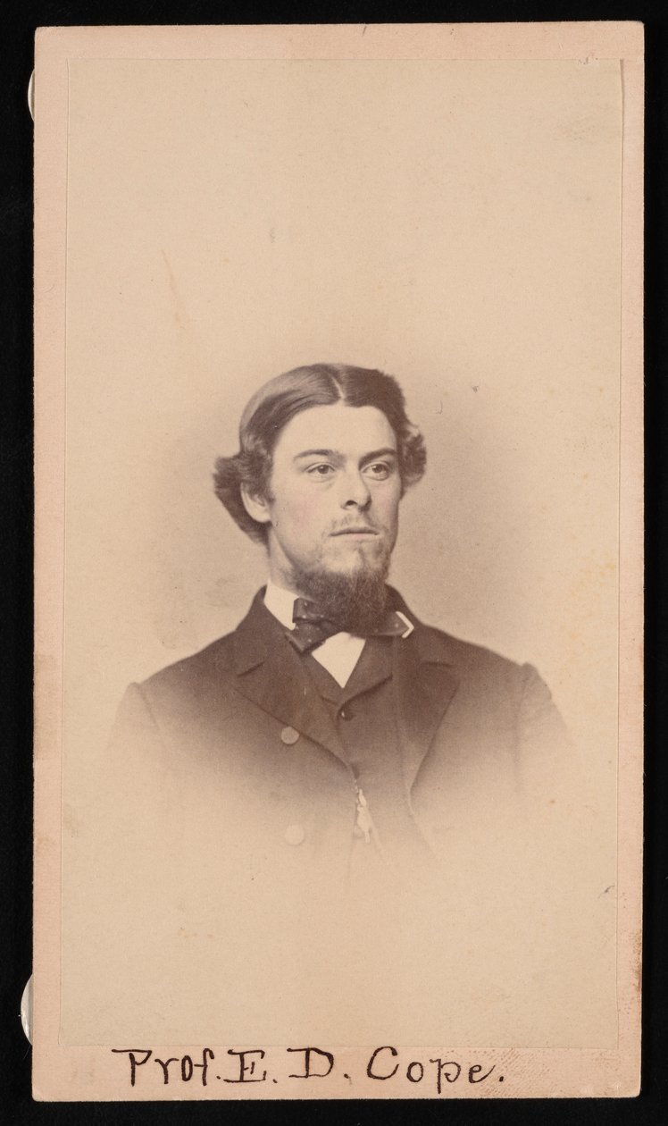 Edward Drinker Cope portréja 1840-1897, 1860 körül. alkotó: Unbekannt