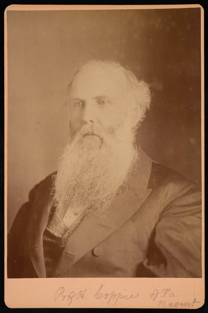 Henry Coppee portréja 1821-1895, 1875. alkotó: Unbekannt