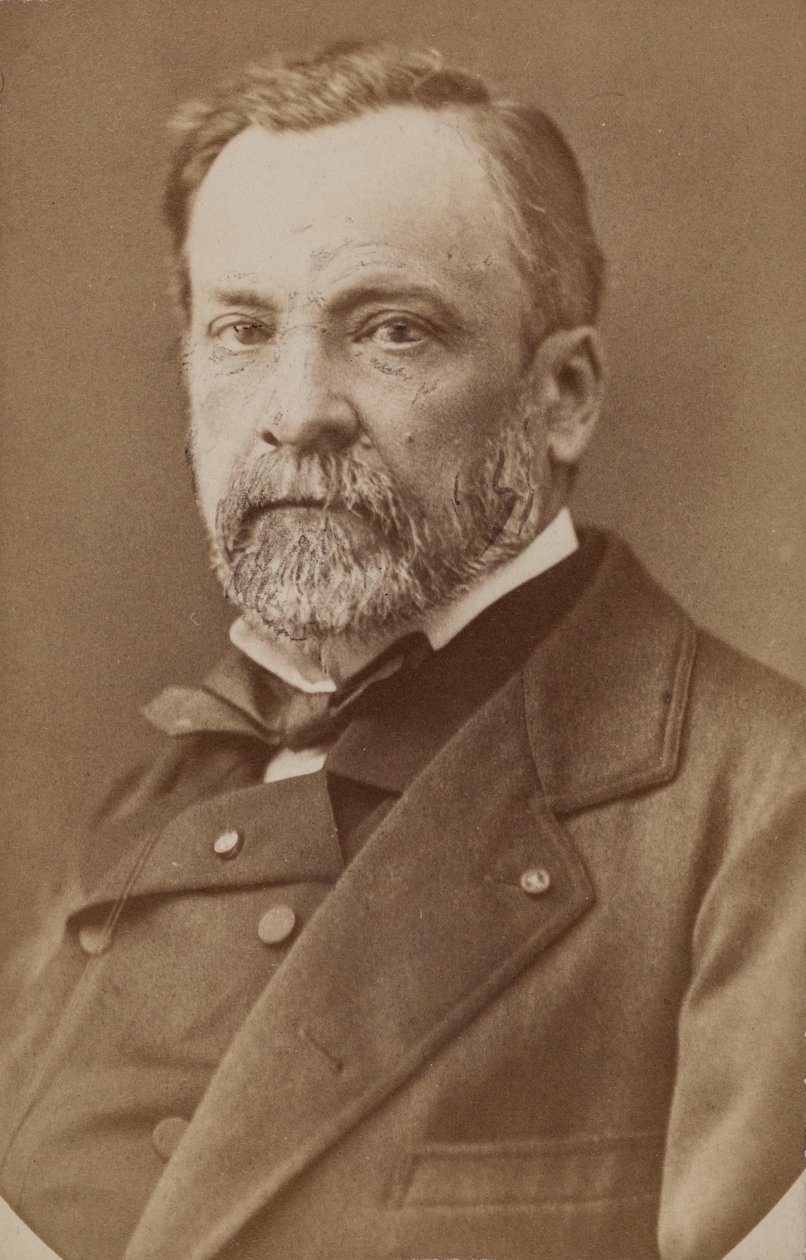 Louis Pasteur portréja 1822-1895, c. 1870. alkotó: Unbekannt