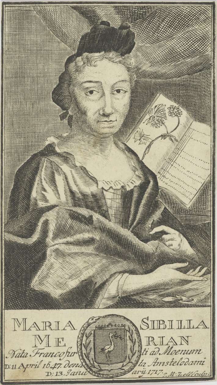 Maria Sibylla Merian portréja 1647-1717, 1755. alkotó: Unbekannt