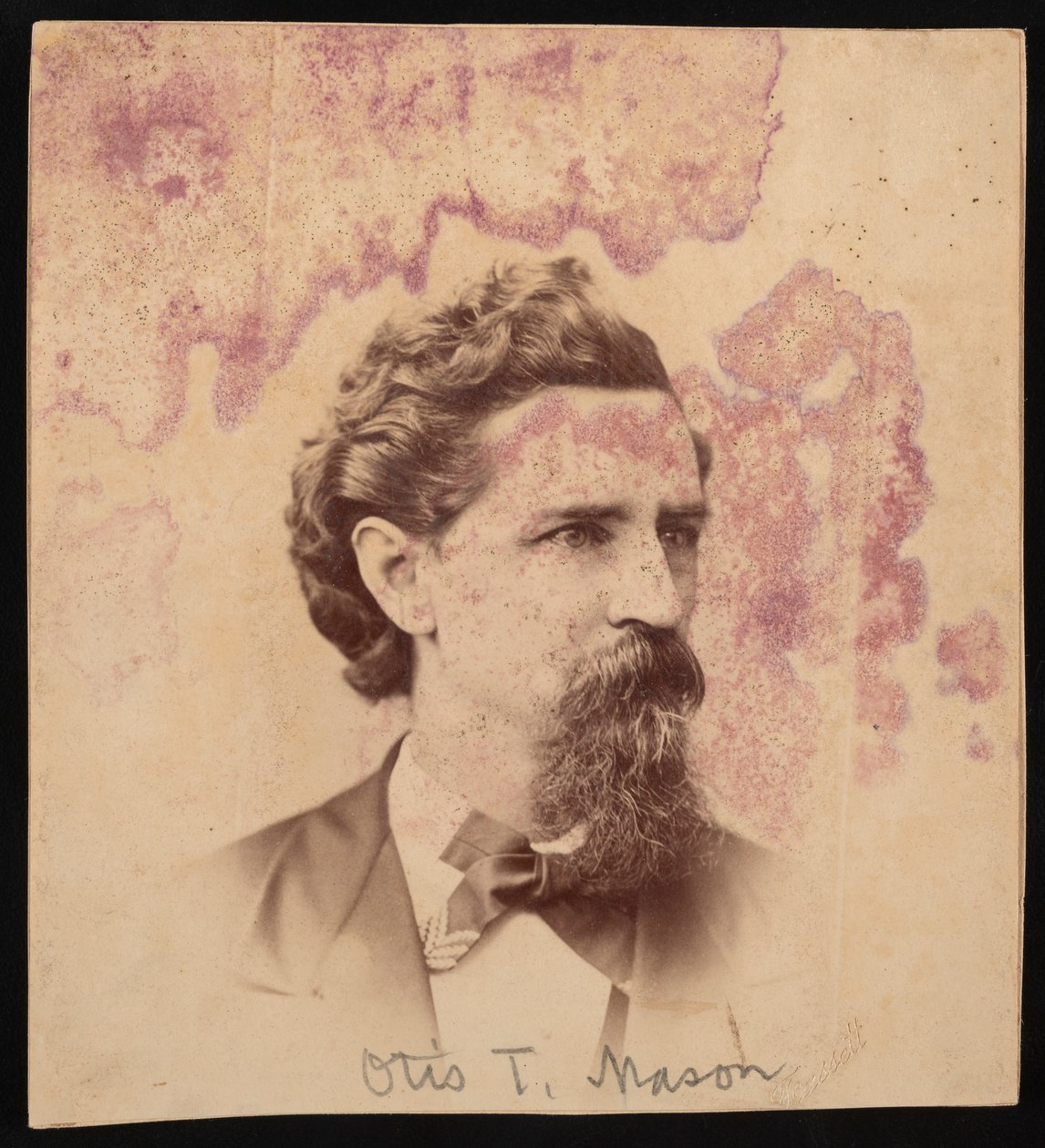 Otis Tufton Mason portréja 1838-1908, 1900 előtt. alkotó: Unbekannt
