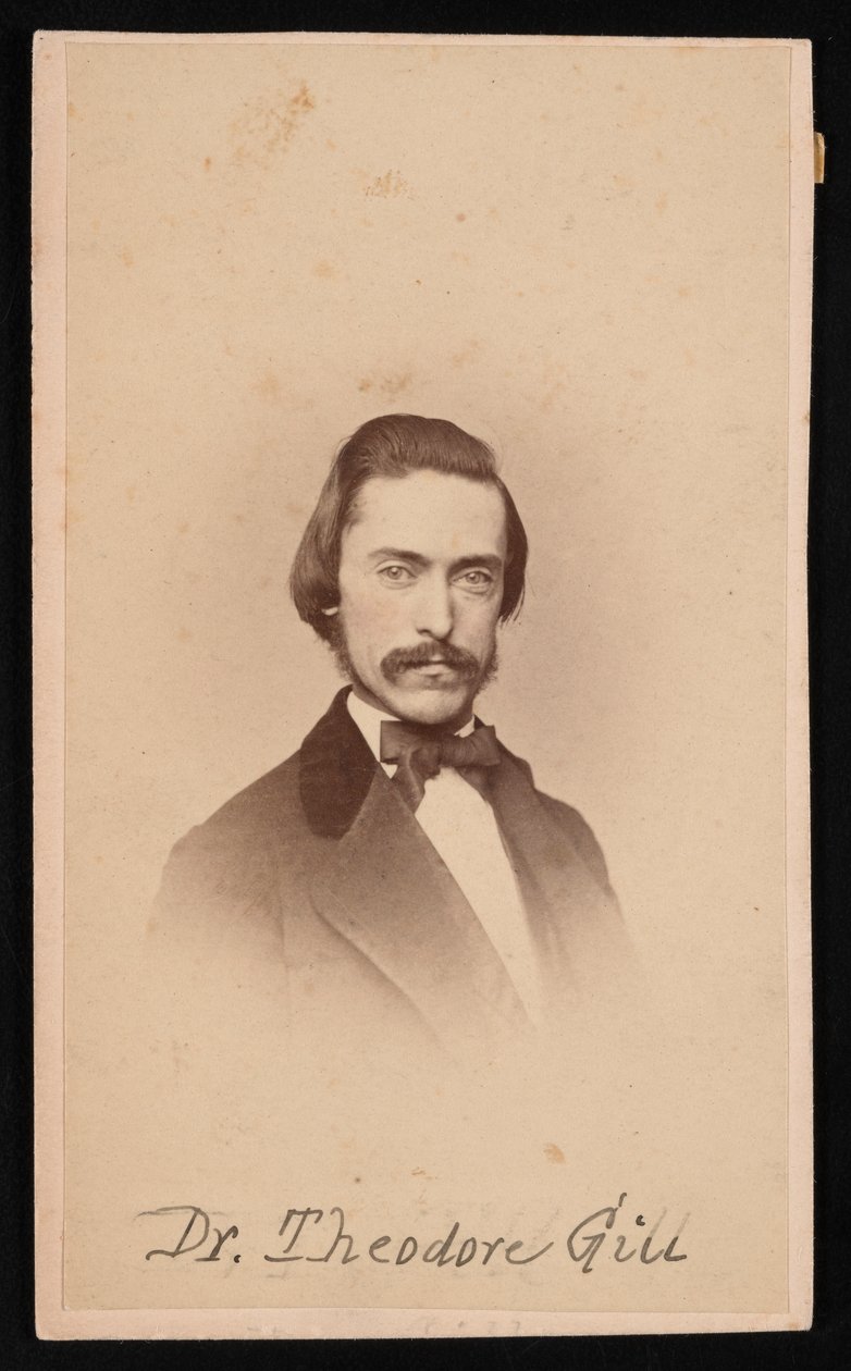 Theodore Nicholas Gill portréja 1837-1914, 1860 körül. alkotó: Unbekannt