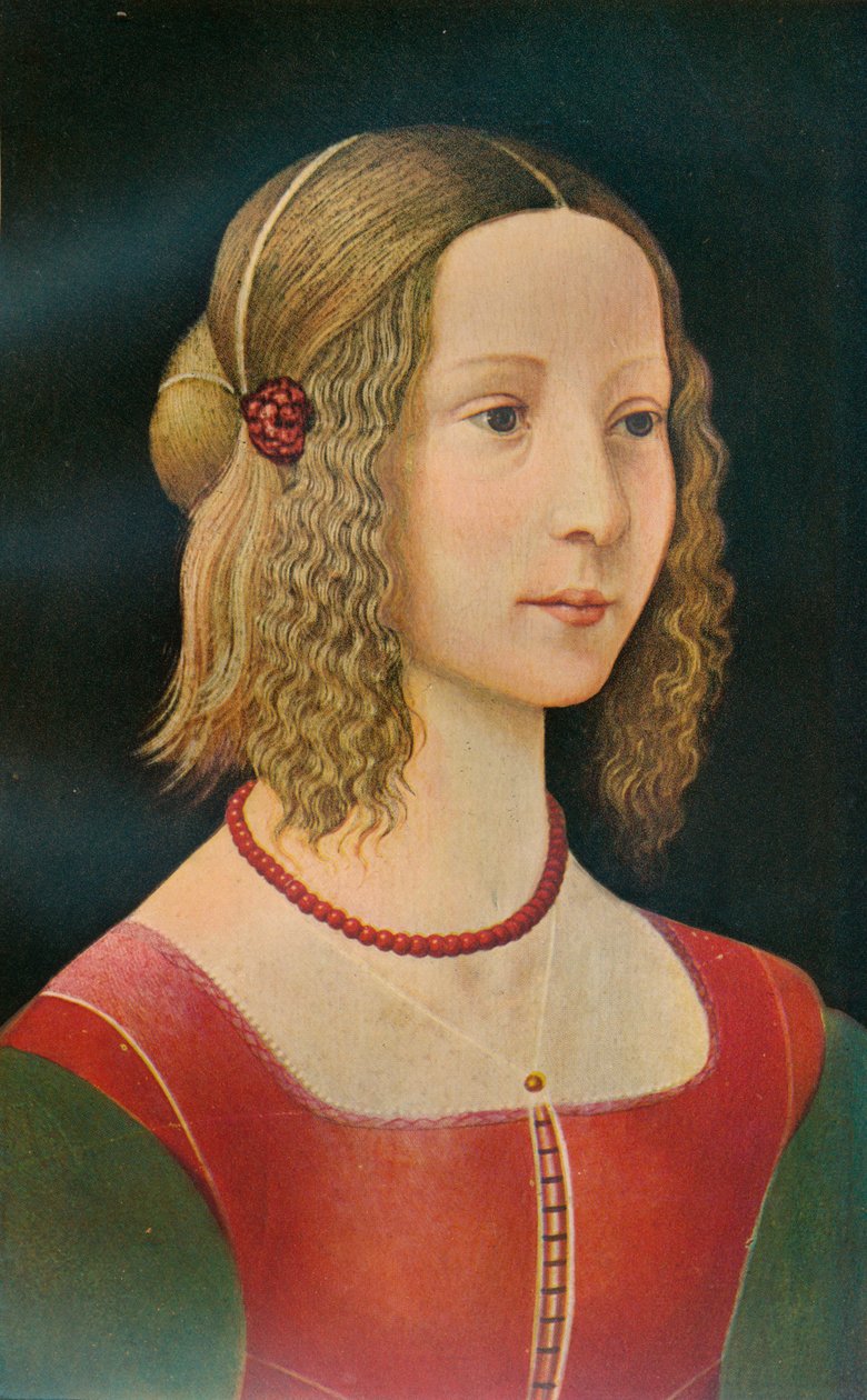 Egy lány portréja, c1490, 1911 alkotó: Unbekannt