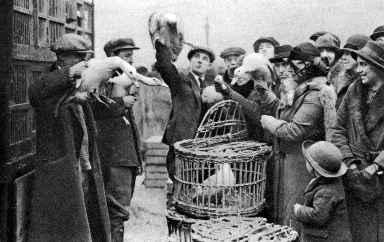 Baromfikereskedők, Caledonian Market, London, 1926-1927 alkotó: Unbekannt