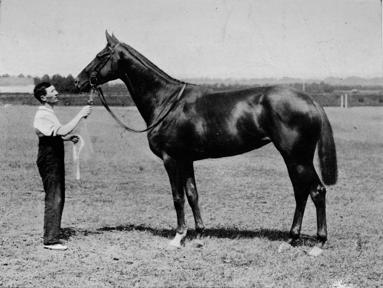 Pretty Polly, 1901-1931, 1911 alkotó: Unbekannt