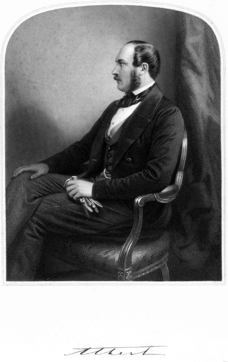 Albert herceg, Viktória királynő hitvese, 1850-1859 alkotó: Unbekannt