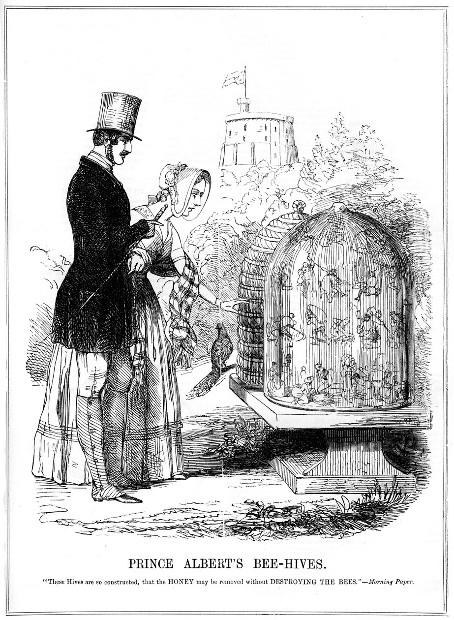 Prince Alberts Bee-Hives, 1843 alkotó: Unbekannt