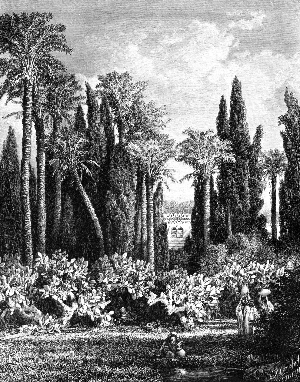 Hercegi kert Kairóban, Egyiptomban, 1880 alkotó: Unbekannt