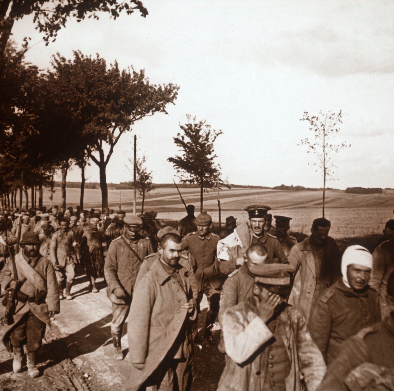 Foglyok, Champagne, Észak-Franciaország, 1914-c1918 alkotó: Unbekannt