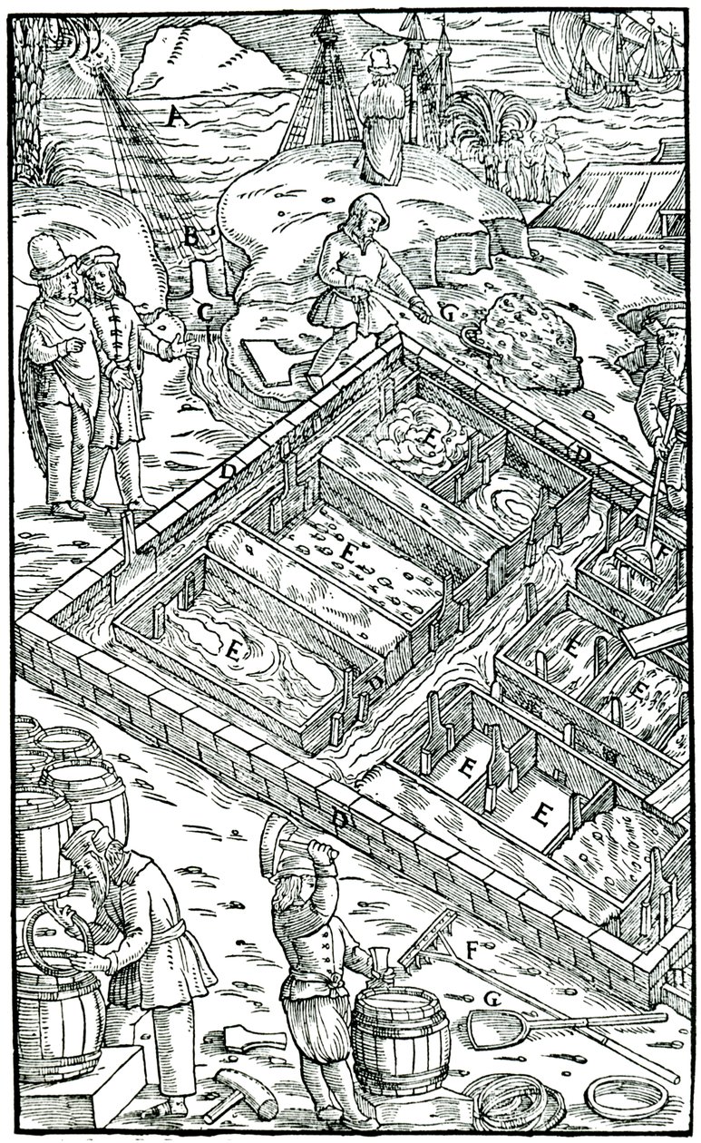 Só előállítása tengervíz sótartókban történő elpárologtatásával, 1556 alkotó: Unbekannt
