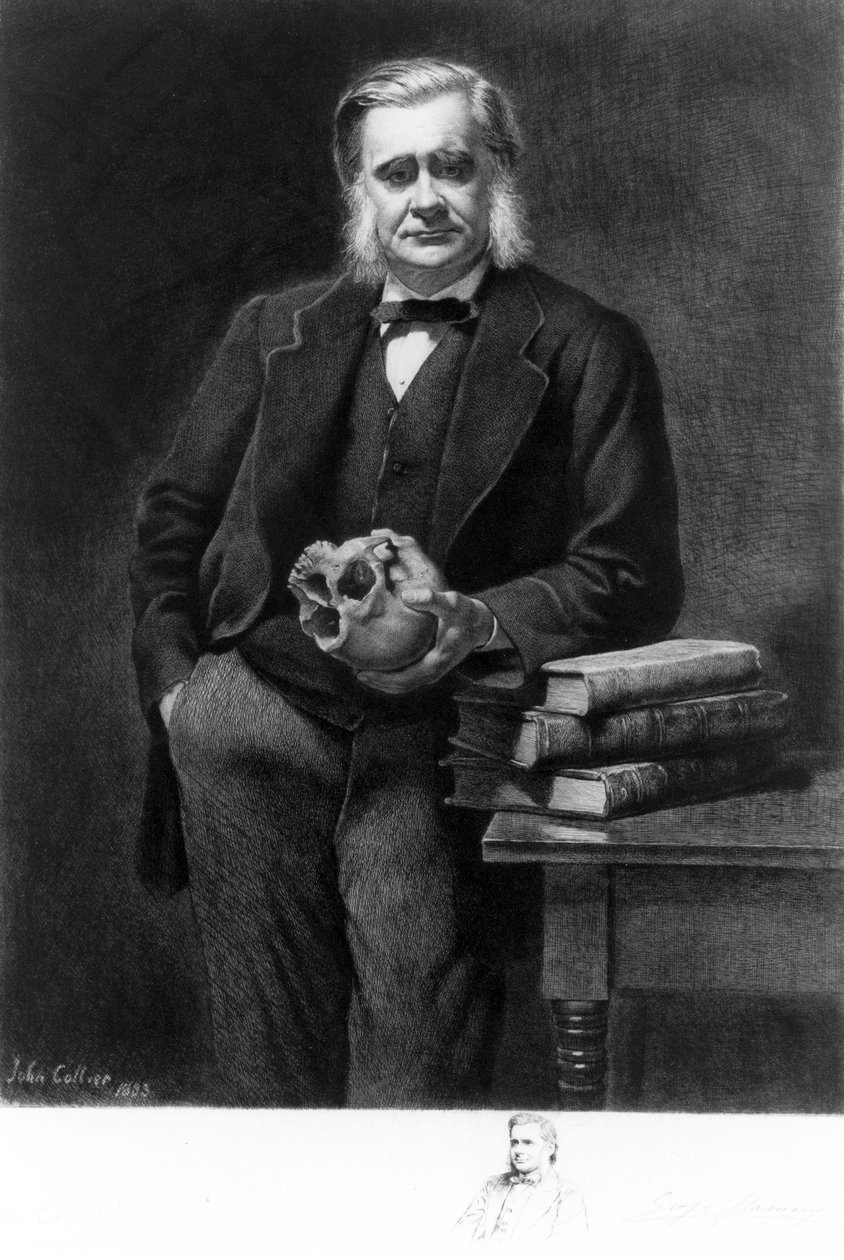Thomas Henry Huxley professzor, angol biológus alkotó: Unbekannt