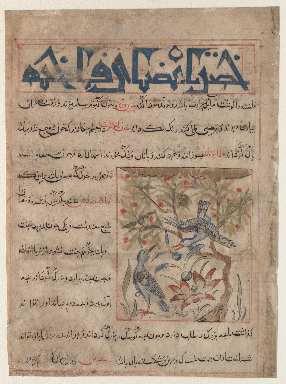 A Ringdoves recto tulajdonságai, A fürj előnyeiről verso..., c. 1300. alkotó: Unbekannt
