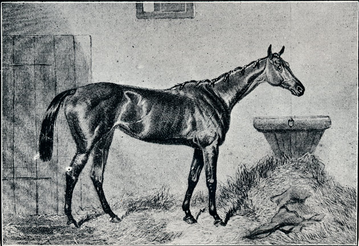 Bertha királyné, 19. század, 1911 alkotó: Unbekannt