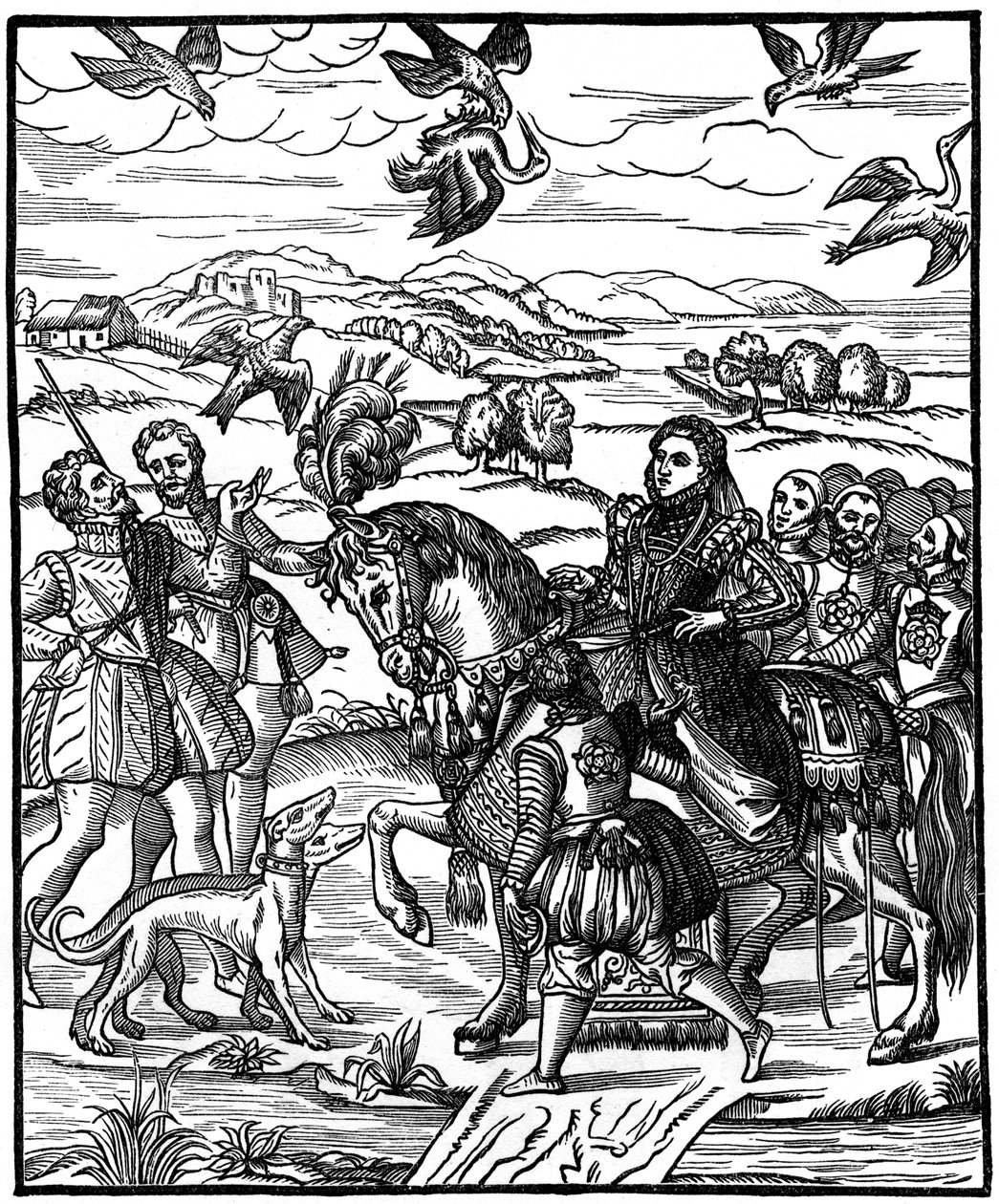 Hawking I. Erzsébet királynő, 1575, 1910 alkotó: Unbekannt
