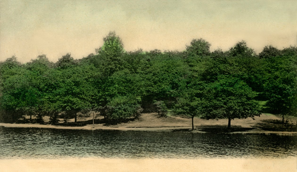 Queensmere, Wimbledon Common, London, 1903. alkotó: Unbekannt