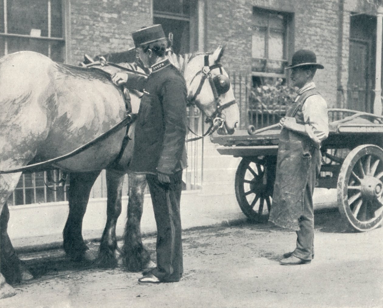 Az RSPCA felügyelő egy lovat vizsgál, c1903 1903 alkotó: Unbekannt
