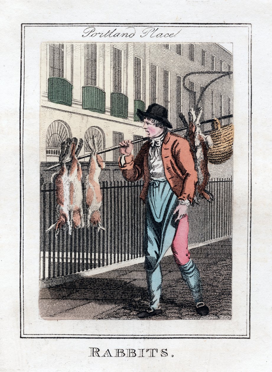 Rabbits, Portland Place, London, 1805 alkotó: Unbekannt
