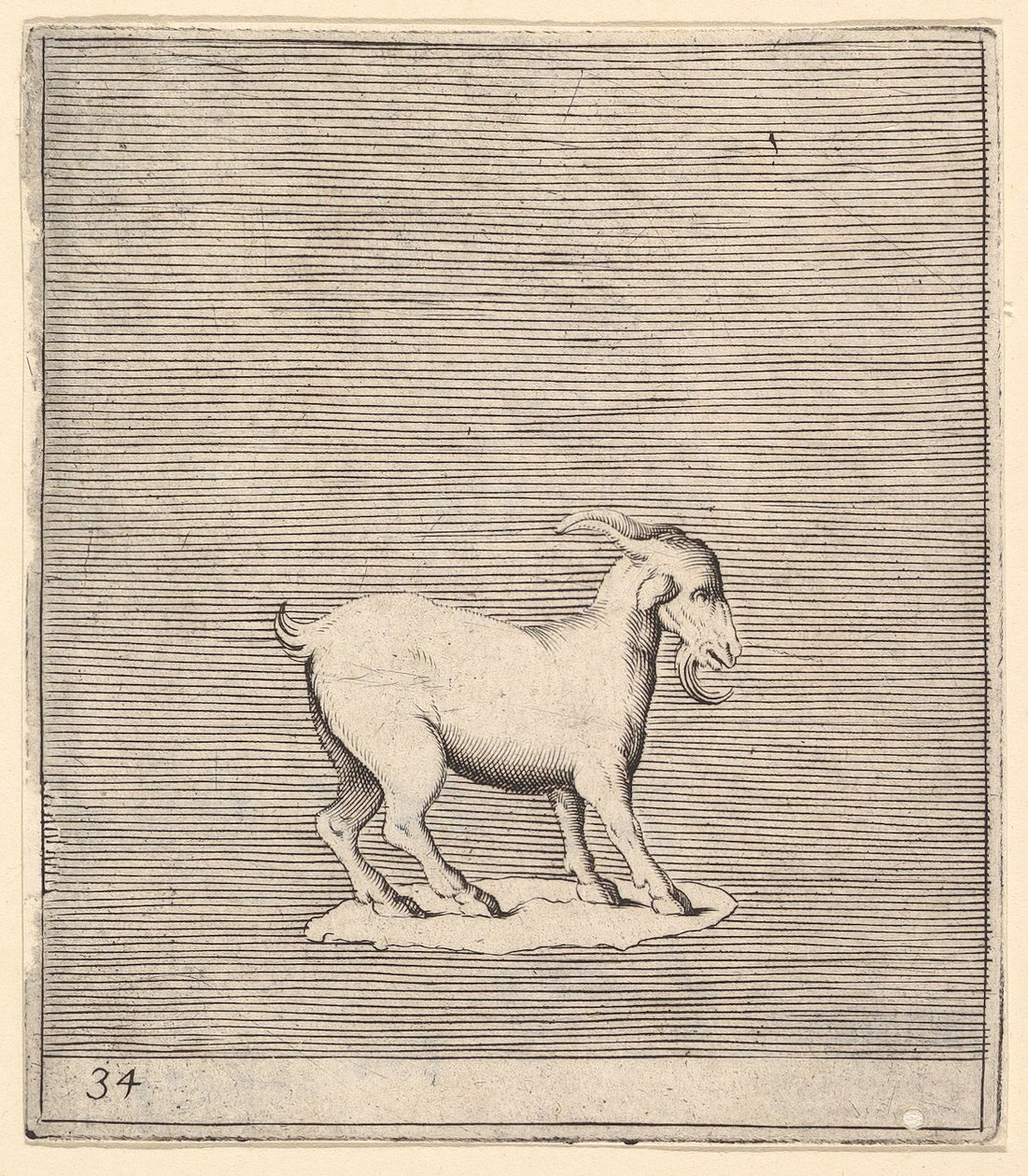 Ram, megjelent kb. 1599-1622. alkotó: Unbekannt
