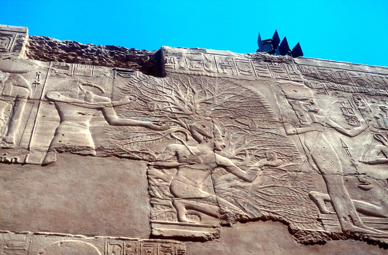 II. Ramszesz és az élet fája, Karnak, Egyiptom, Kr. e. 13. század alkotó: Unbekannt