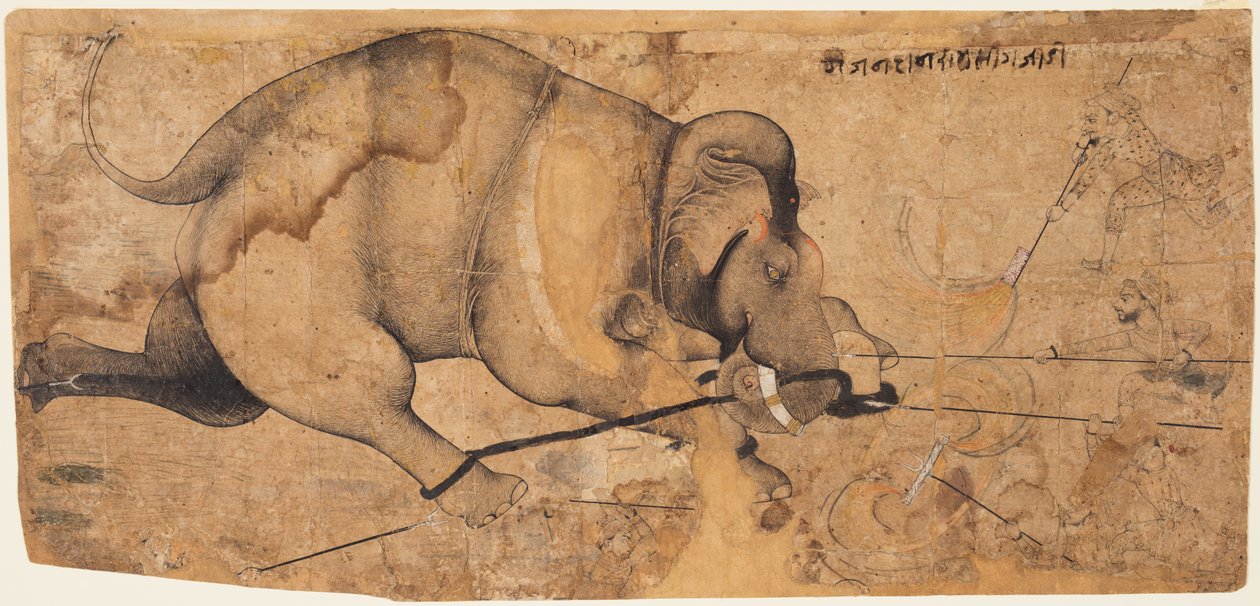 Rao Ram Singhs Elephant Gone Amok c. 1700. alkotó: Unbekannt