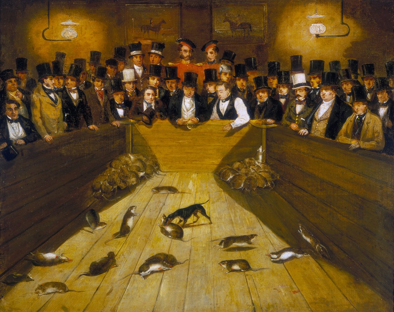 „Rat-Catching at the Blue Anchor Tavern, Bunhill Row, Finsbury”, c1850 alkotó: Unbekannt