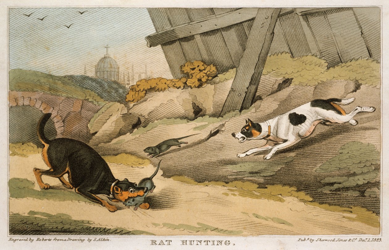 Patkányvadászat, 1823 alkotó: Unbekannt