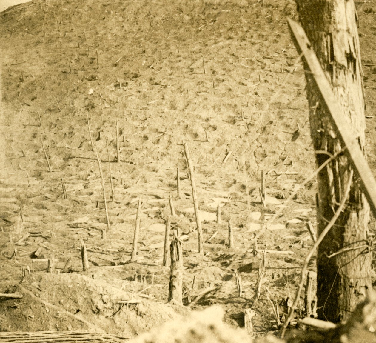 Les Éparges szakadéka, Észak-Franciaország, 1914-c1918. alkotó: Unbekannt