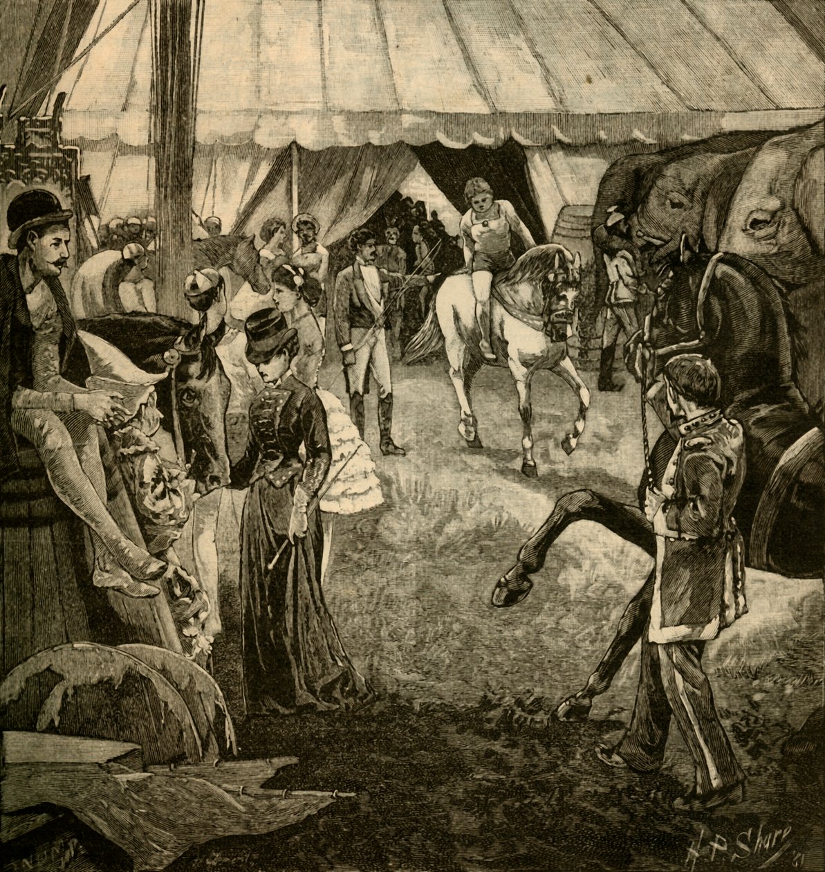 Készen áll, hogy behívják a ringbe, 1882. alkotó: Unbekannt