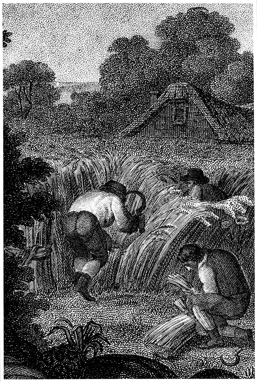 Sarlós aratás és kévék bekötése, Anglia, c1800 alkotó: Unbekannt