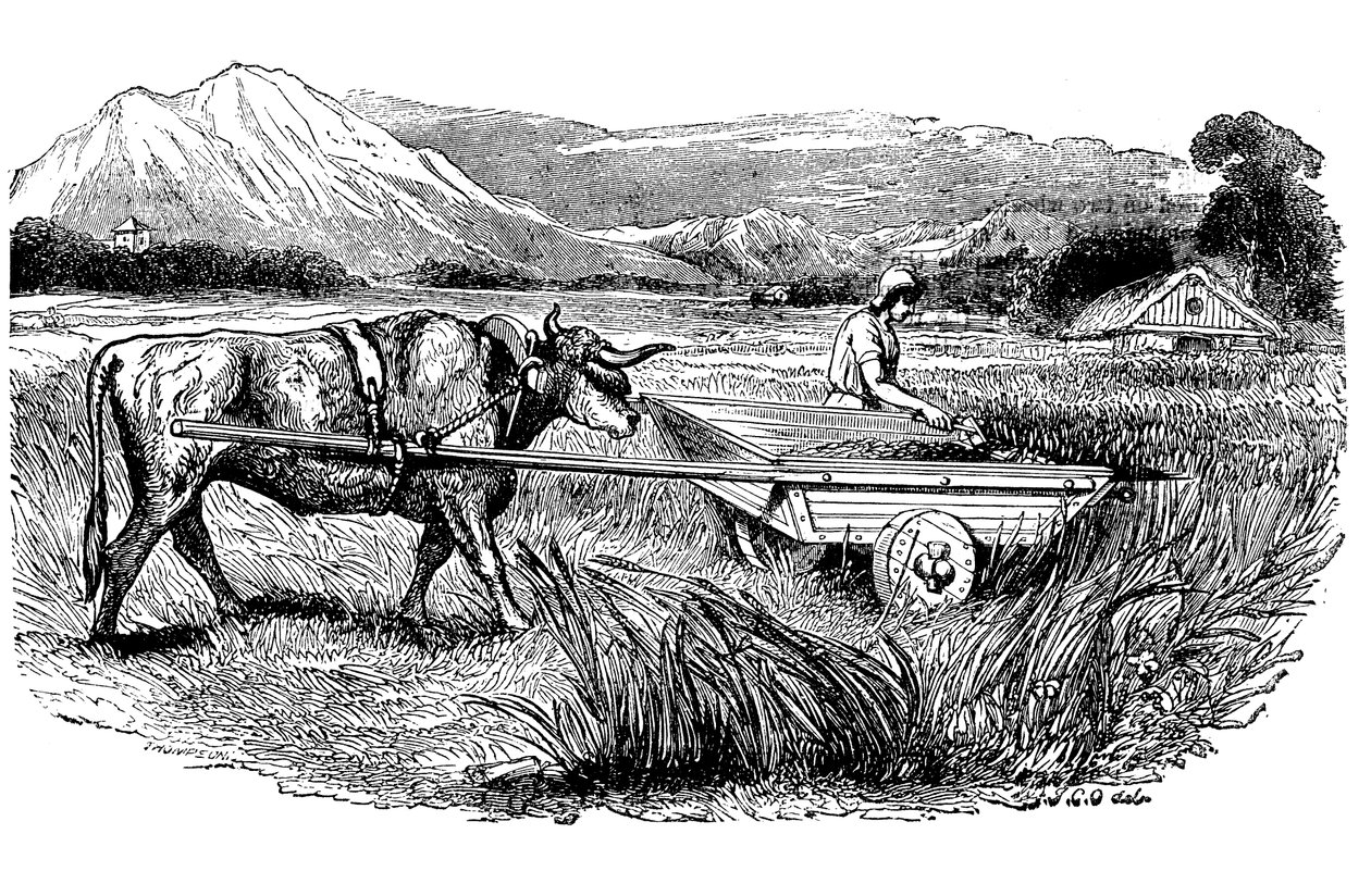 A római aratószekér rekonstrukciója Plinius leírása szerint, Metszet, 1860 alkotó: Unbekannt