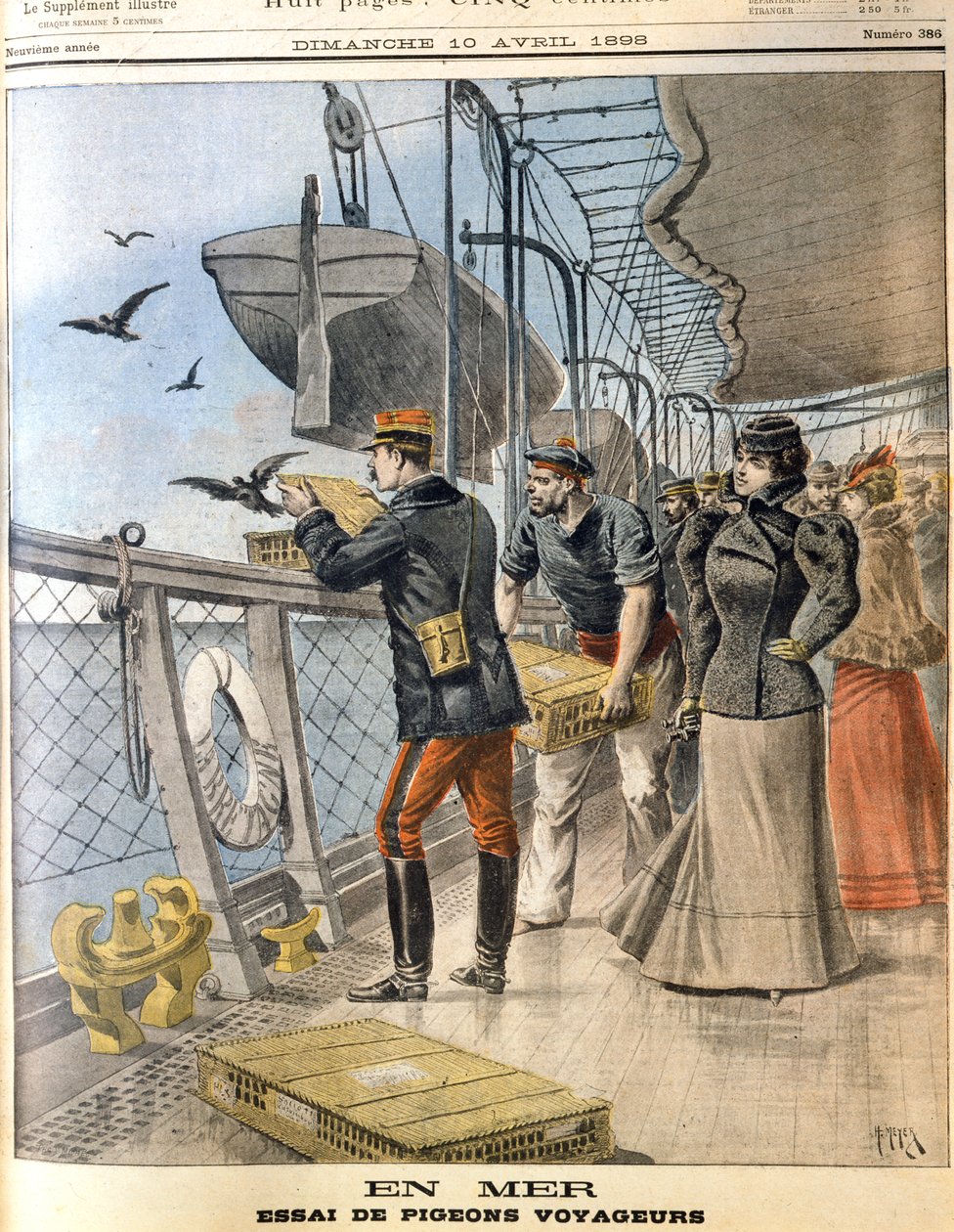 A francia hadsereg postagalambjainak szabadon engedése a La Bretagne transzatlanti vonalhajó fedélzetén, 1898 alkotó: Unbekannt