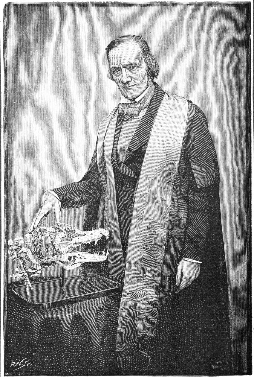 Richard Owen, brit természettudós, 1856 1891 alkotó: Unbekannt